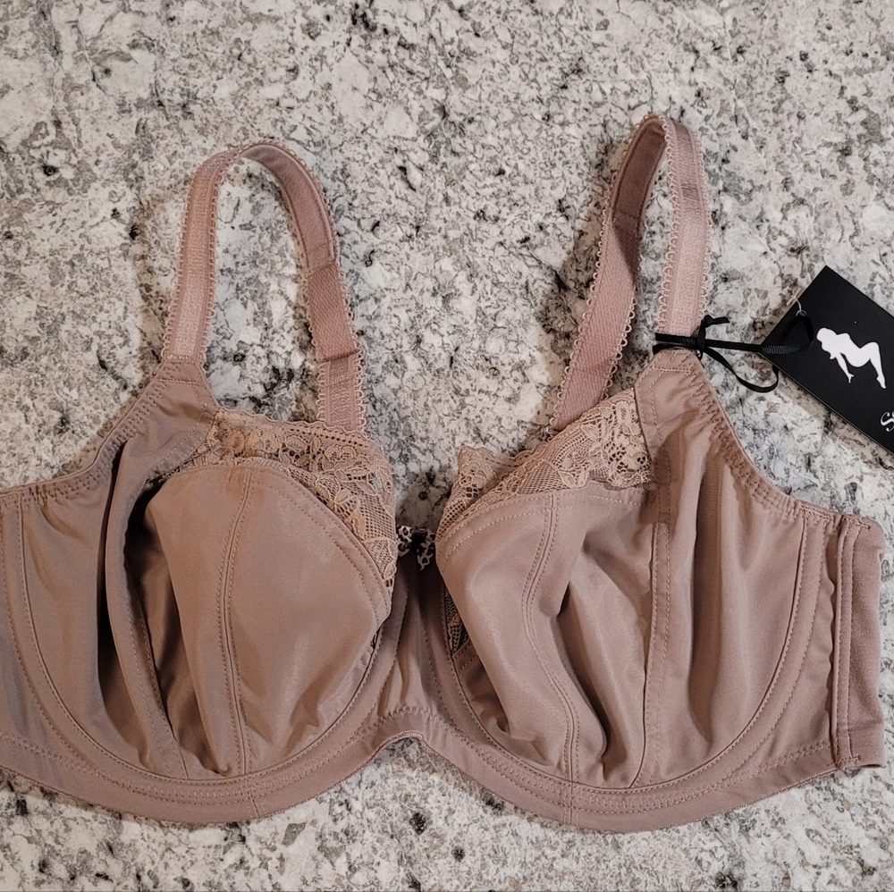 Panache Lace Trim Bra in Taupe - Picture 3 of 8